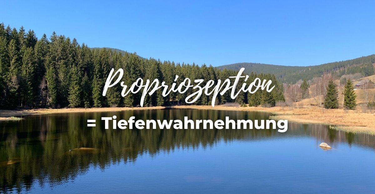 Katharina Holch - Blog - Propriozeption