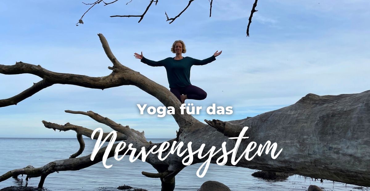 Katharina Holch - Blog - Yoga für das Nervensystem