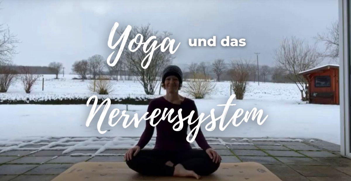 Katharina Holch - Blog - Yoga und das Nervensystem
