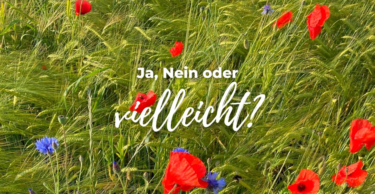 Katharina Holch - Blog - Entscheidungen