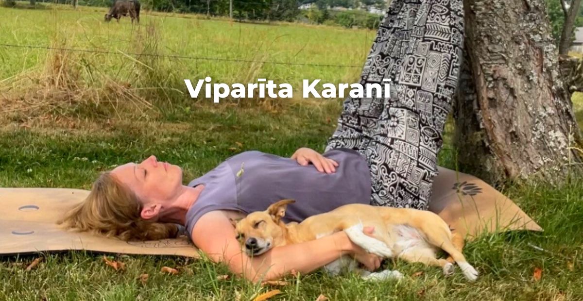 Katharina Holch - Blog - Viparita Karani