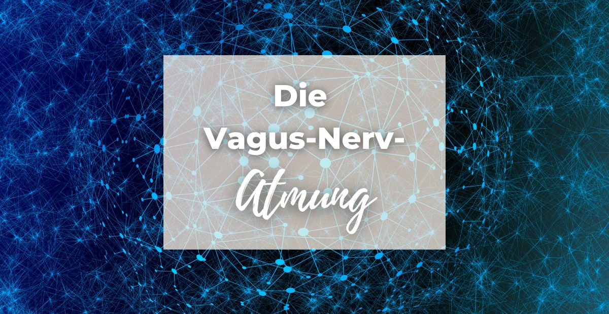 Katharina Holch - Blog - Vagus-Nerv Atmung
