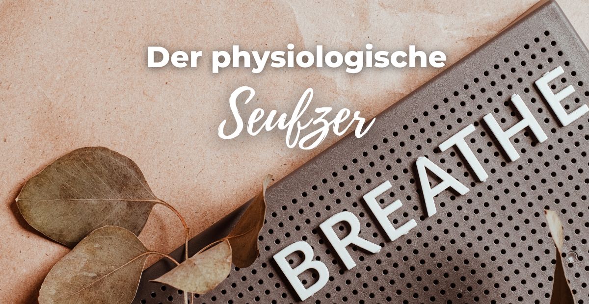 Katharina Holch - Blog - physiologischer Seufzer