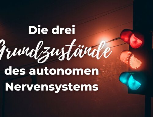 Die 3 Grundzustände des autonomen Nervensystems
