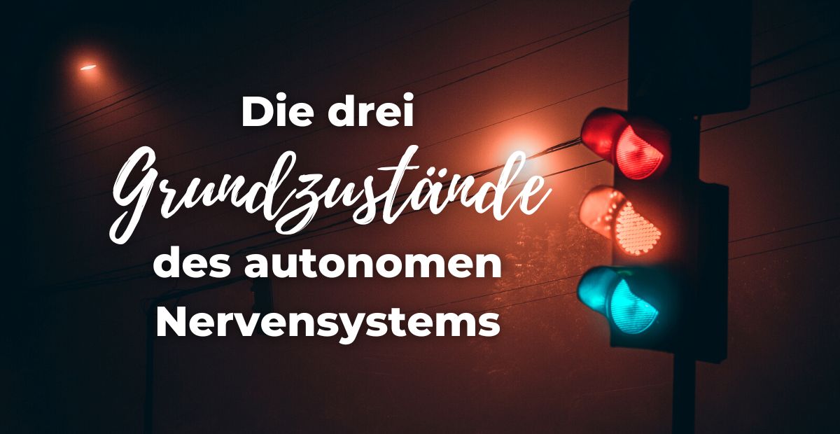 Die 3 Grundzustände Des Autonomen Nervensystems | Blog | Energie Im Alltag