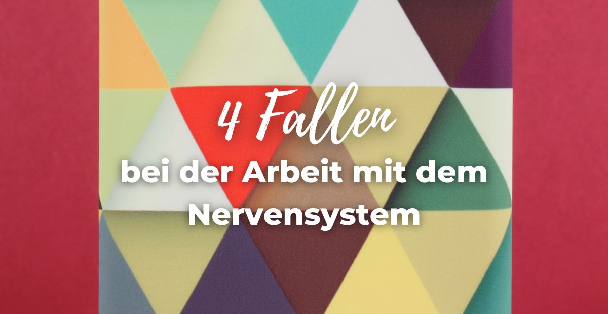 Katharina Holch - Blog - 4 Fallen Nervensystem
