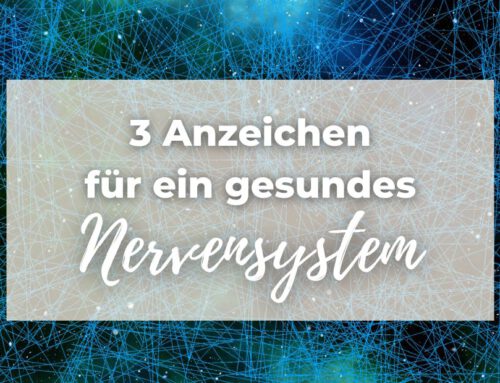 Routine Für Dein Nervensystem | Blog | Energie Im Alltag