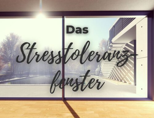 Das Stresstoleranzfenster