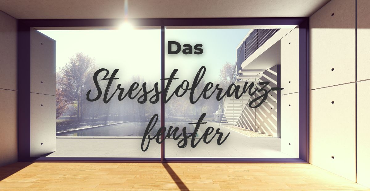 Katharina Holch - Blog - Stresstoleranzfenster