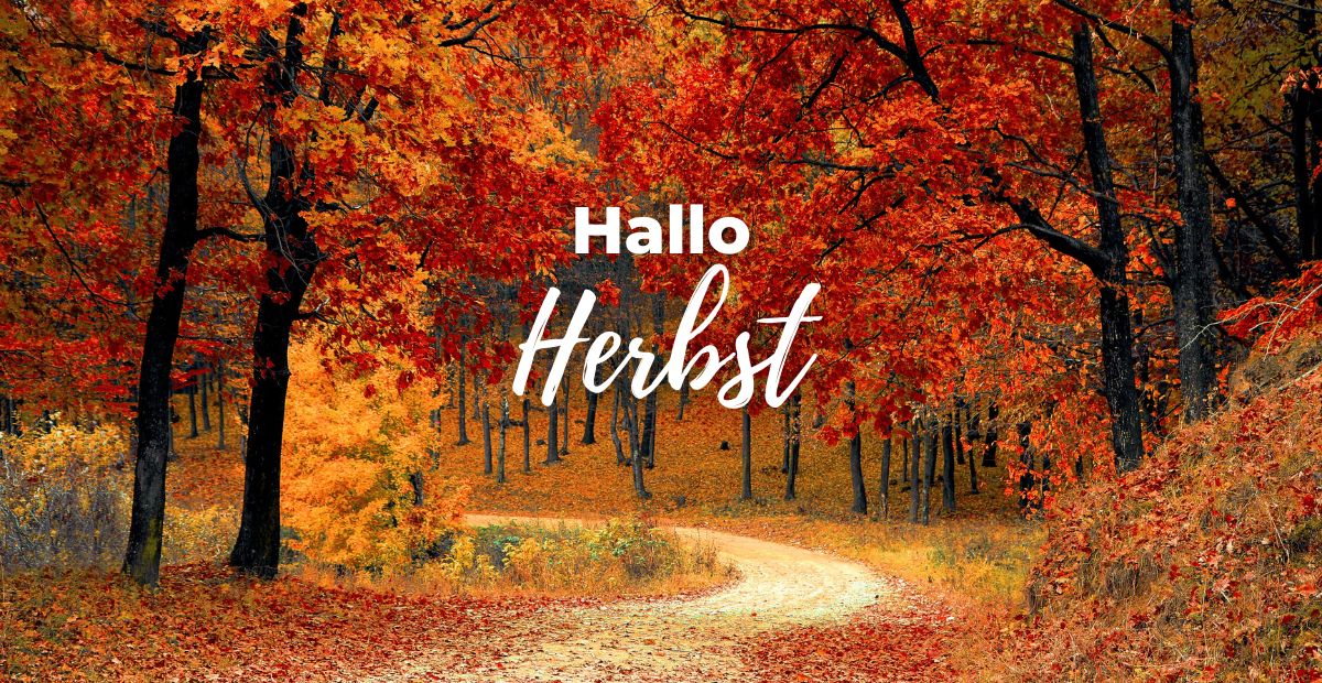 Katharina Holch - Blog - Hallo Herbst