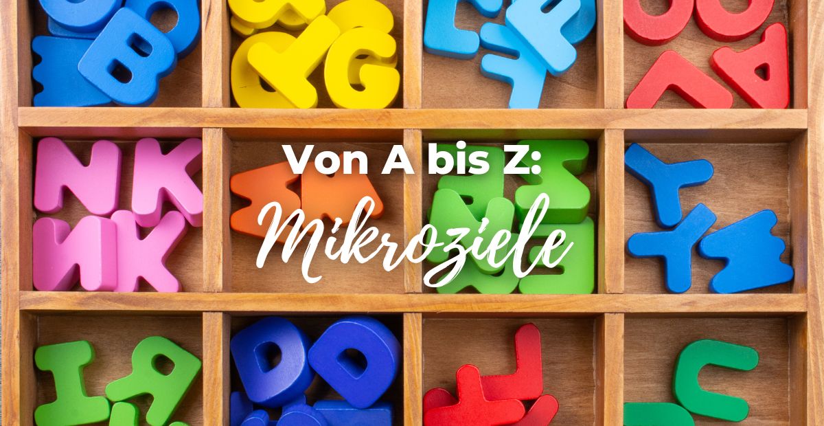 Katharina Holch - Blog - mikroziele