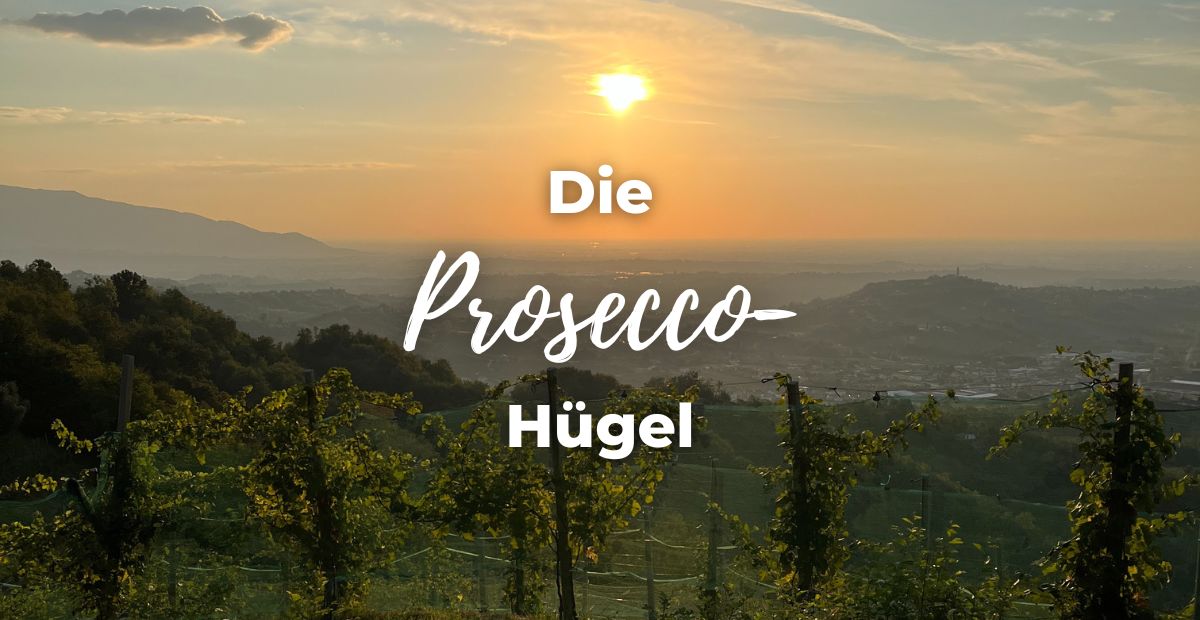 Katharina Holch - Blog - Die Prosecco-Hügel