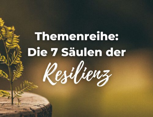 Themenreihe Die sieben Säulen der Resilienz