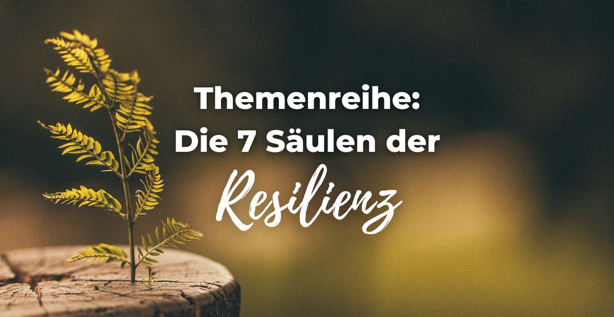 Katharina Holch - Blog - Themenreihe 7 Säulen Resilienz
