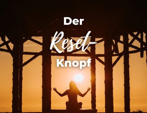 Der Reset-Knopf?