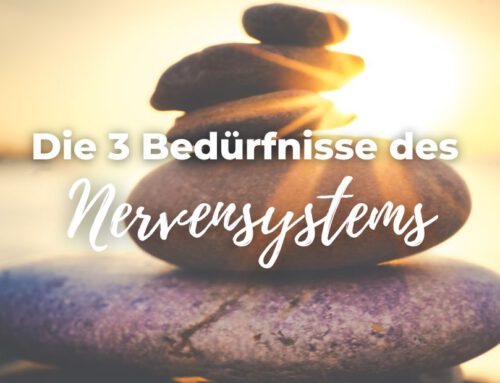 Die 3 Bedürfnisse des Nervensystems