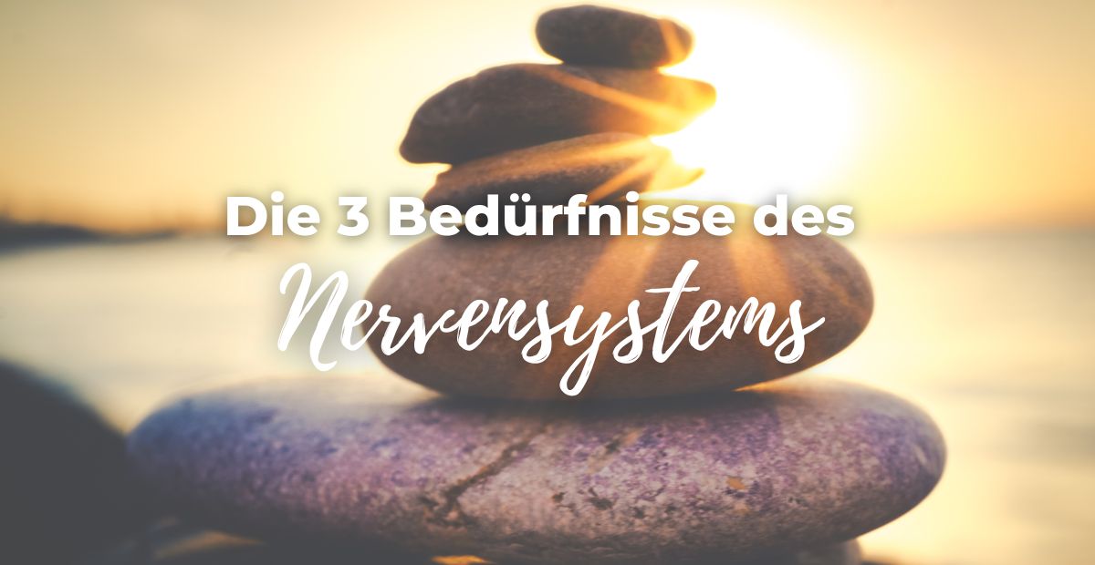 Katharina Holch - Blog - 3 Bedürfnisse Nervensystem