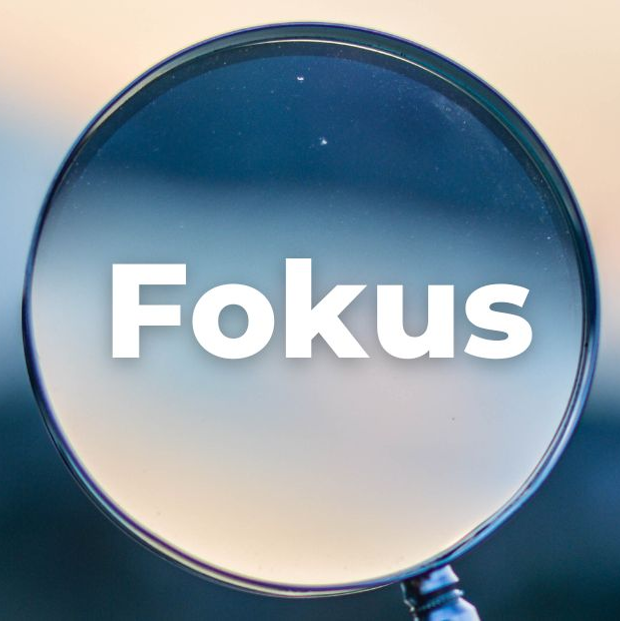 Katharina Holch - Jahresrückblick 2025 - Fokus