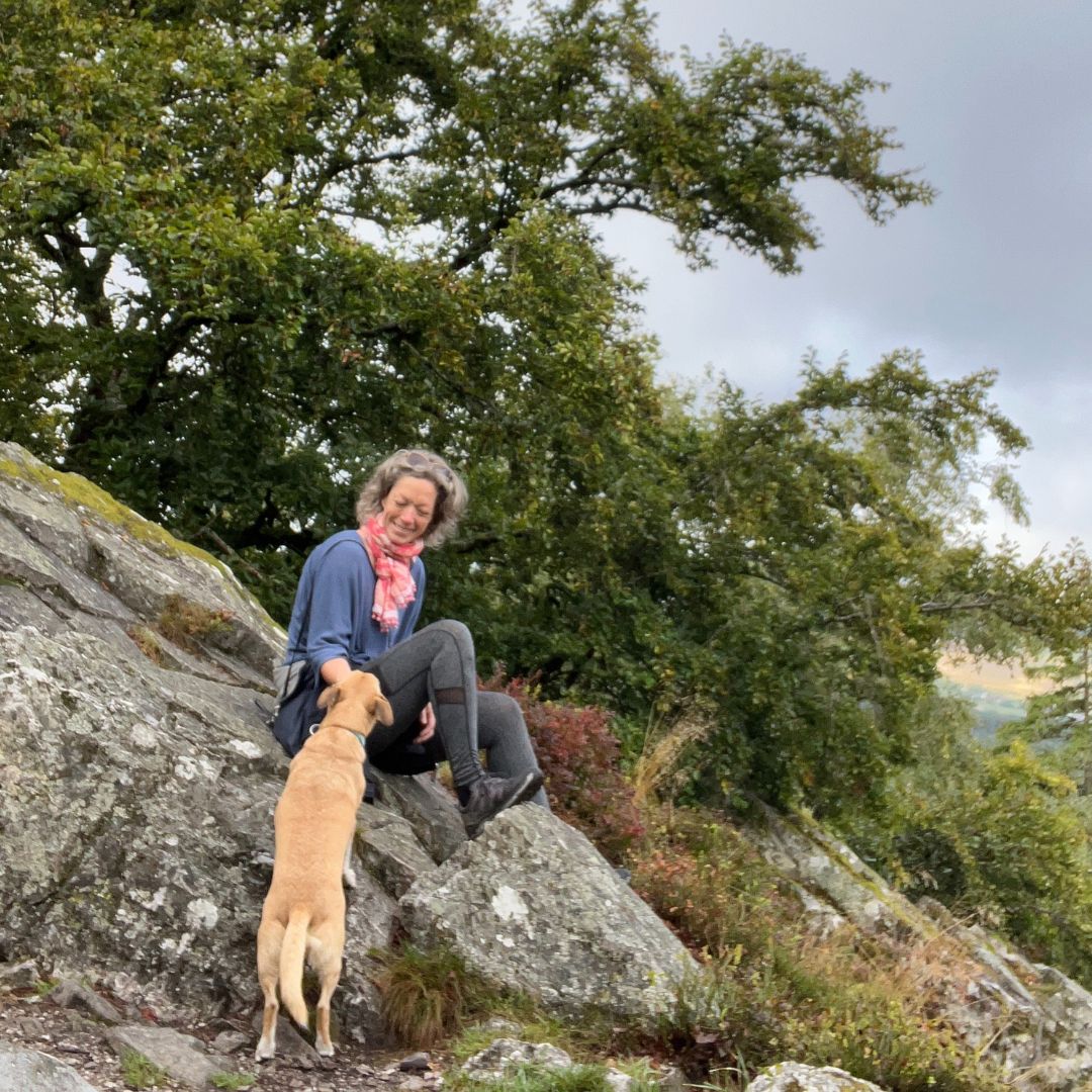 Katharina Holch - Jahresrückblick 2025 - Traumschleife