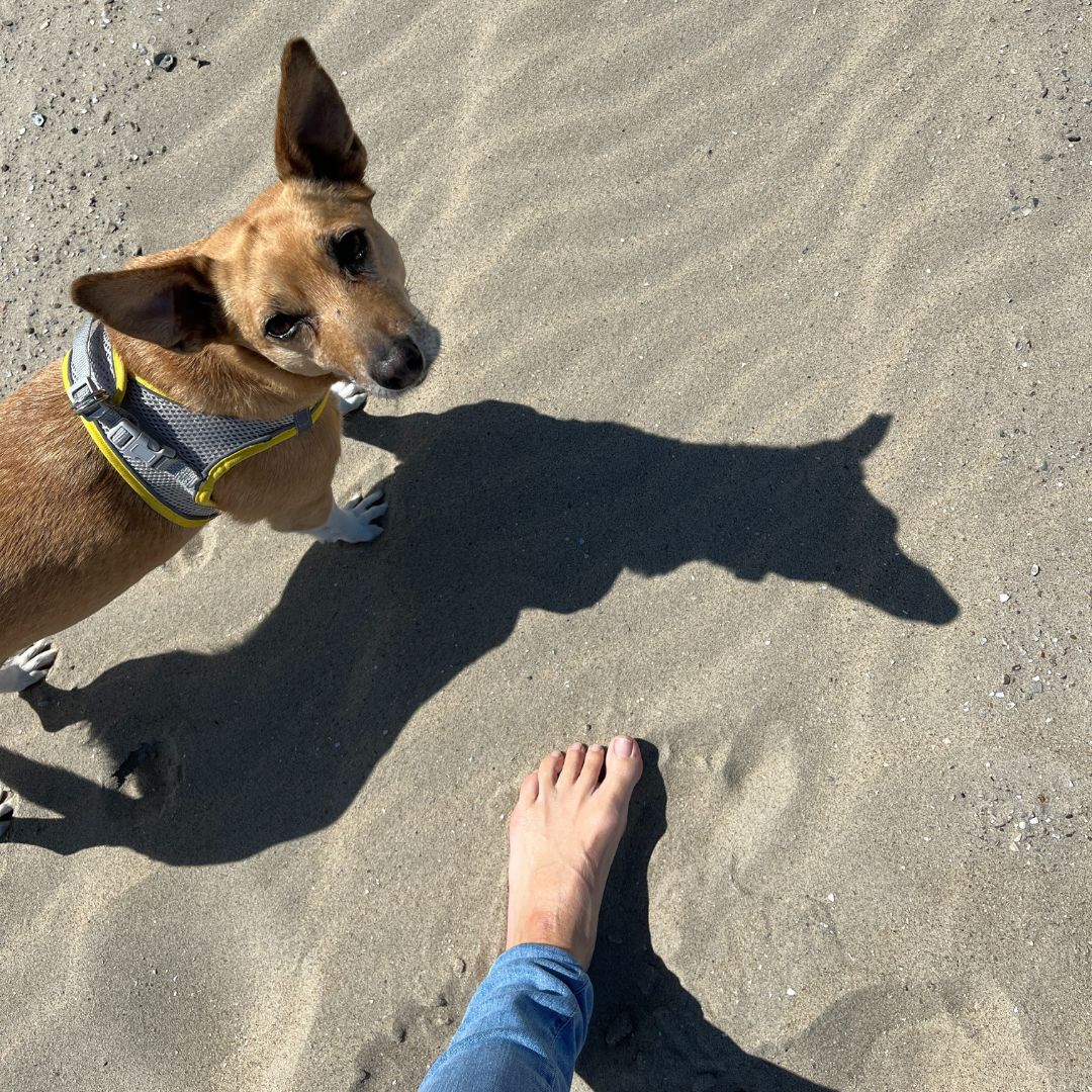 Katharina Holch - Jahresrückblick 2025 - Zeeland