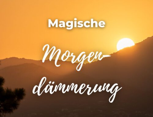 Magische Morgendämmerung