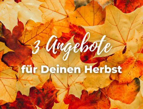 3 Angebote für Deinen Herbst
