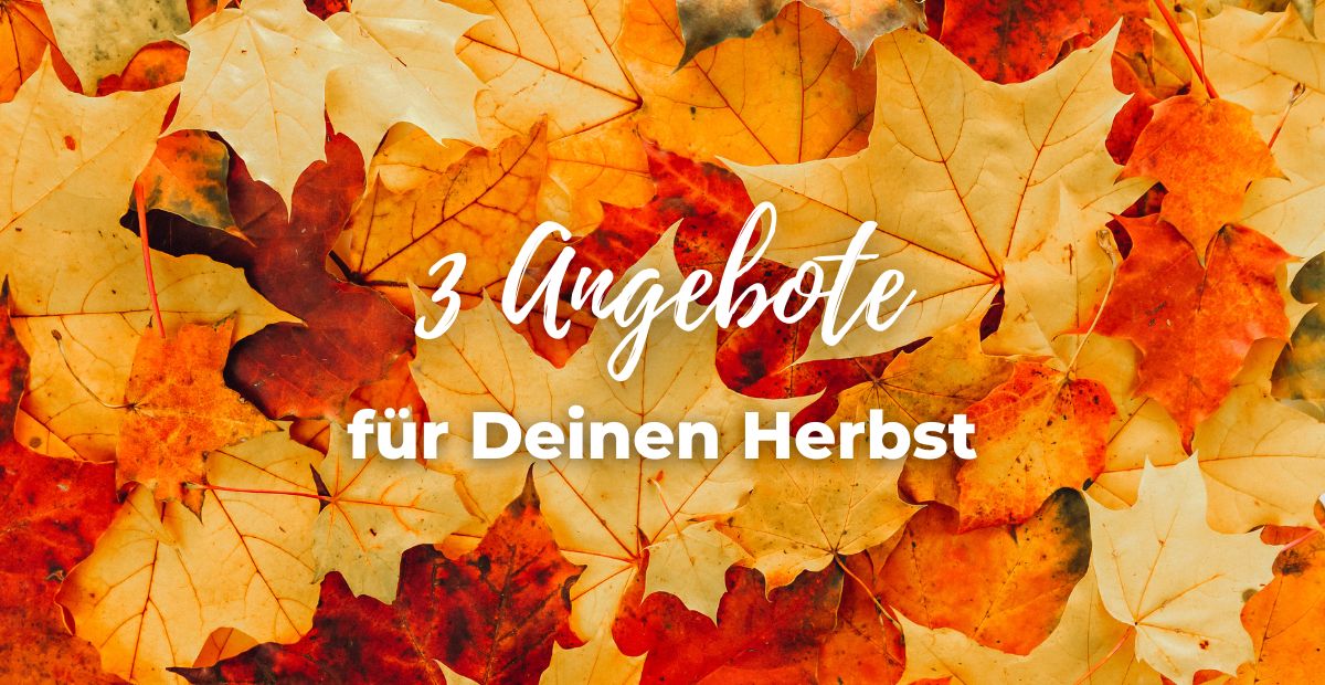 Katharina Holch - Blog - Angebote Herbst